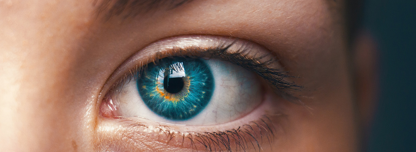 Nyfiken och vill veta mer?